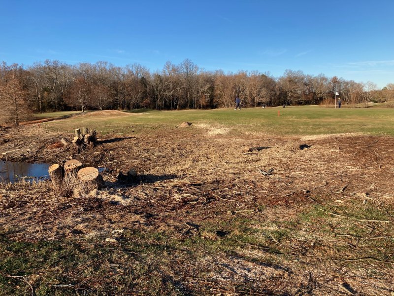 Tree work on golf courses is often done during the winter, and sometimes involves cutting down entire trees, as in this example from The Rookery a couple years ago.